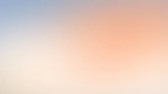 Betitall Casino Podrška